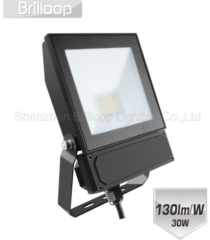 F17.C - Quality Floodlight